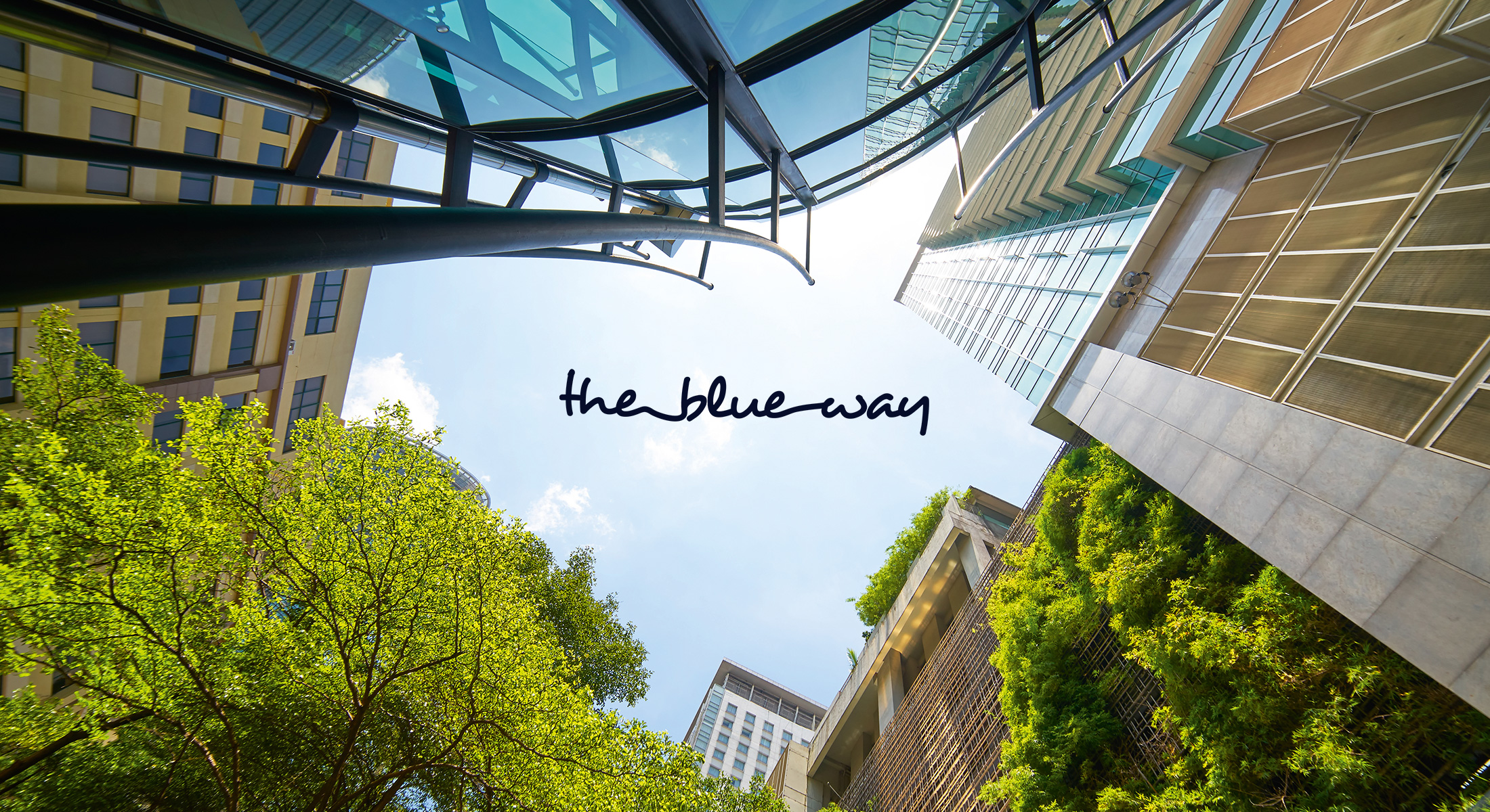 MCSH Veranstaltung: The Blue Way